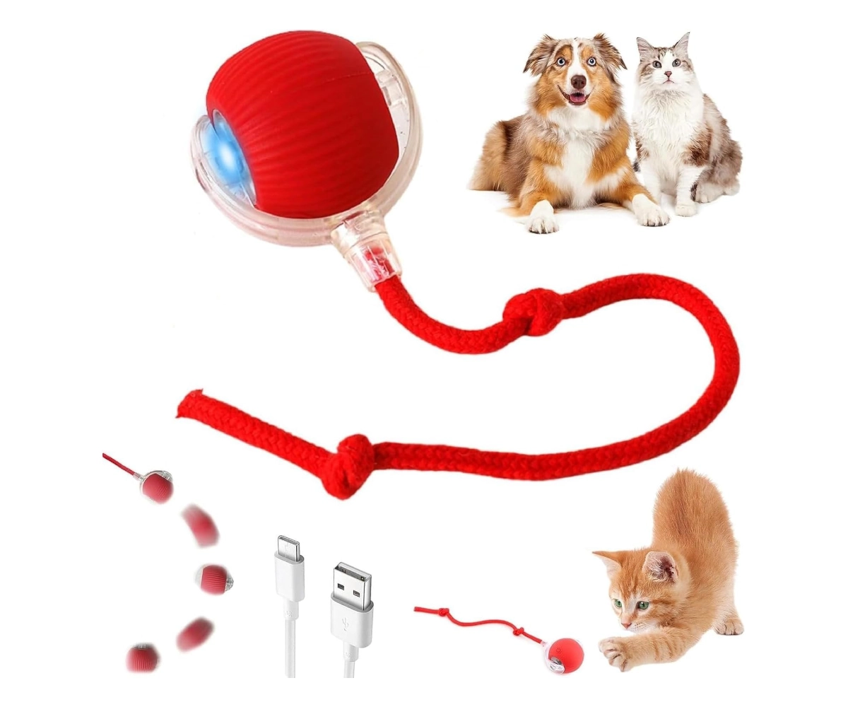 Pelota Interactiva Para Mascotas